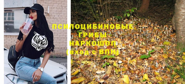 МДПВ Алексеевка