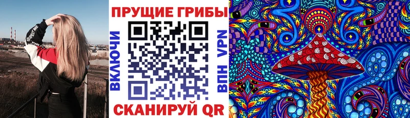 Галлюциногенные грибы MAGIC MUSHROOMS  Сусуман 